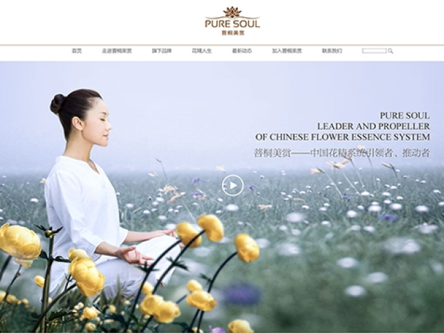 廣州菩桐美賞貿易有限公司網站建設項目 廣州菩桐美賞貿易有限公司網站建設項目